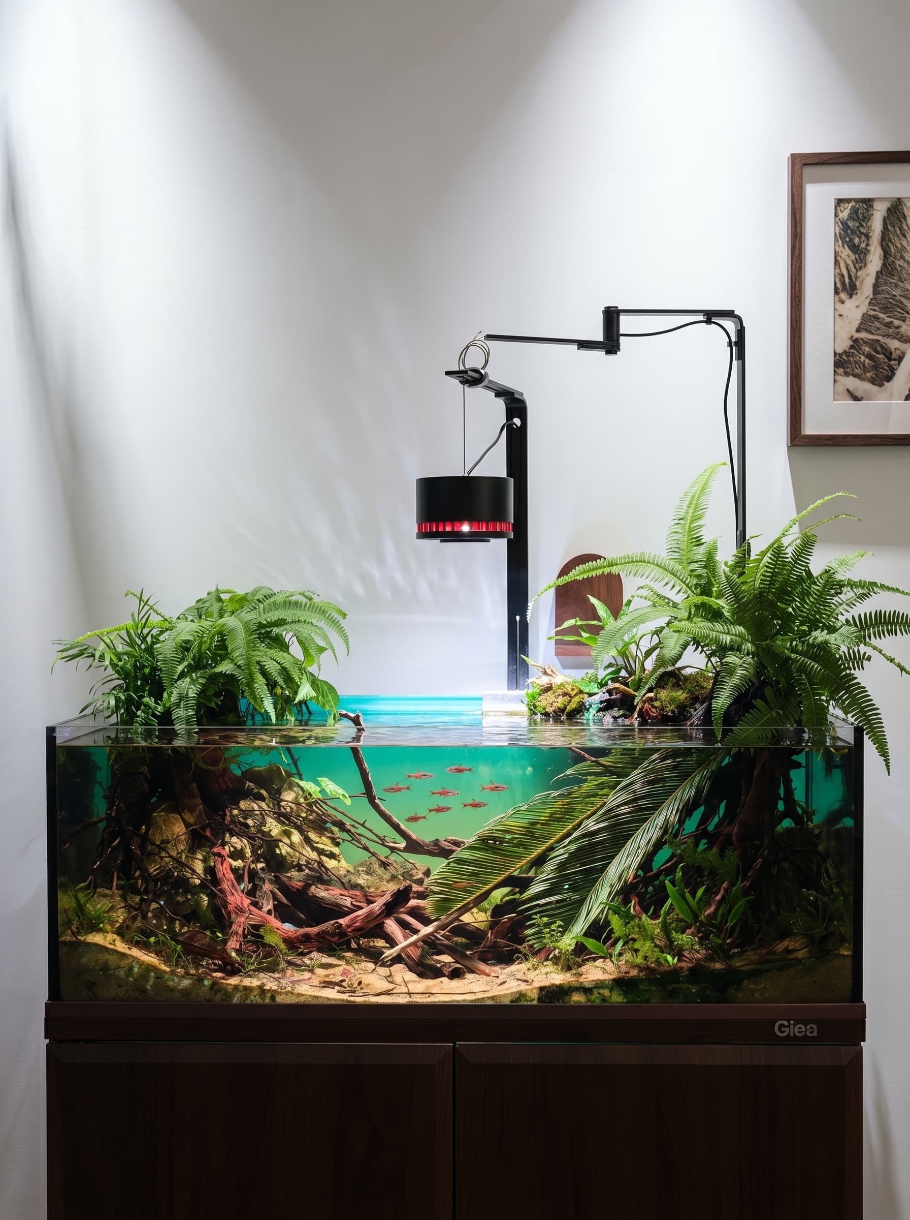 Aquarium accessories