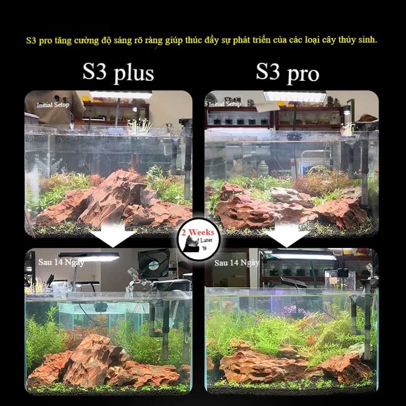 Đèn LED thuỷ sinh nuôi cây, phát sáng toàn diện bể cá Neosun S3Pro+