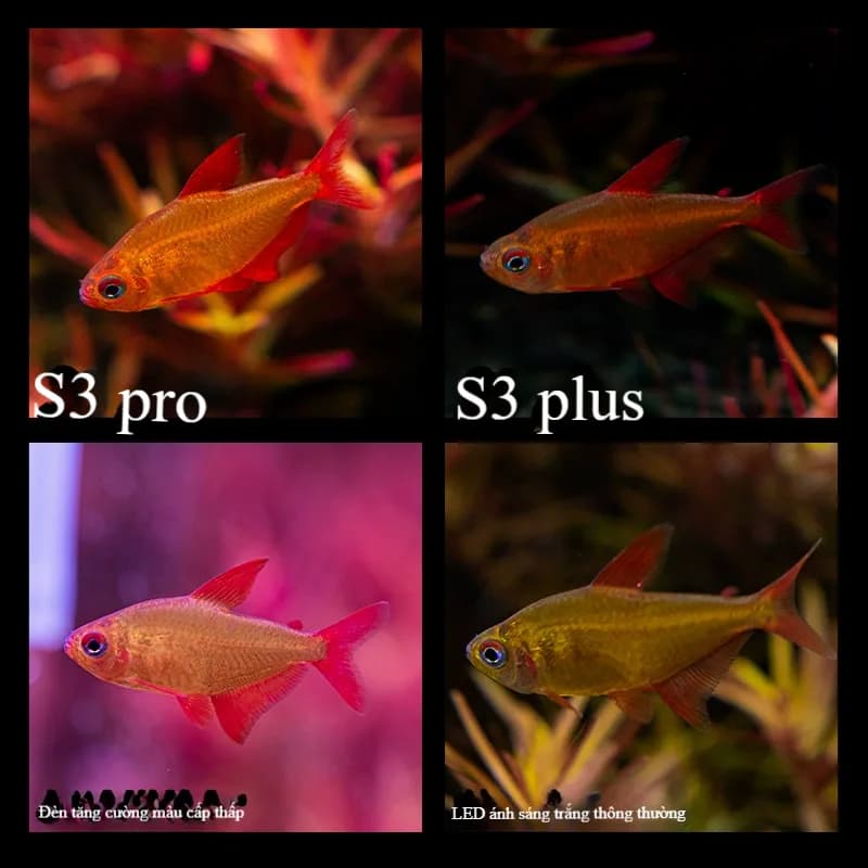 Đèn LED thuỷ sinh nuôi cây, phát sáng toàn diện bể cá Neosun S3Pro+