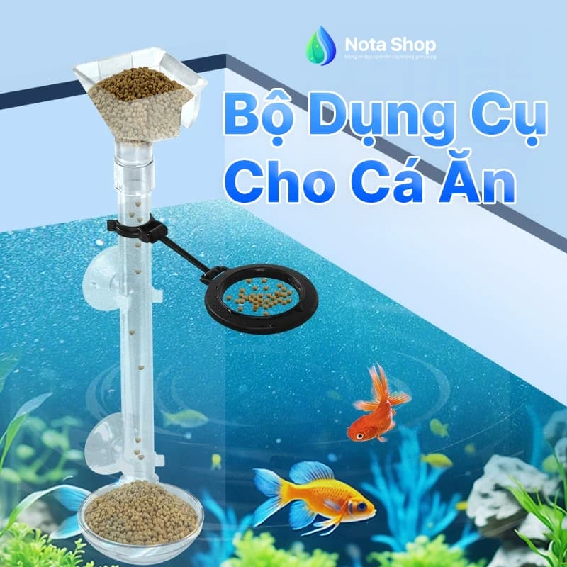 Bộ Dụng Cụ Cho Cá Ăn Nota Shop – Giải Pháp Hoàn Hảo Cho Bể Cá Cảnh